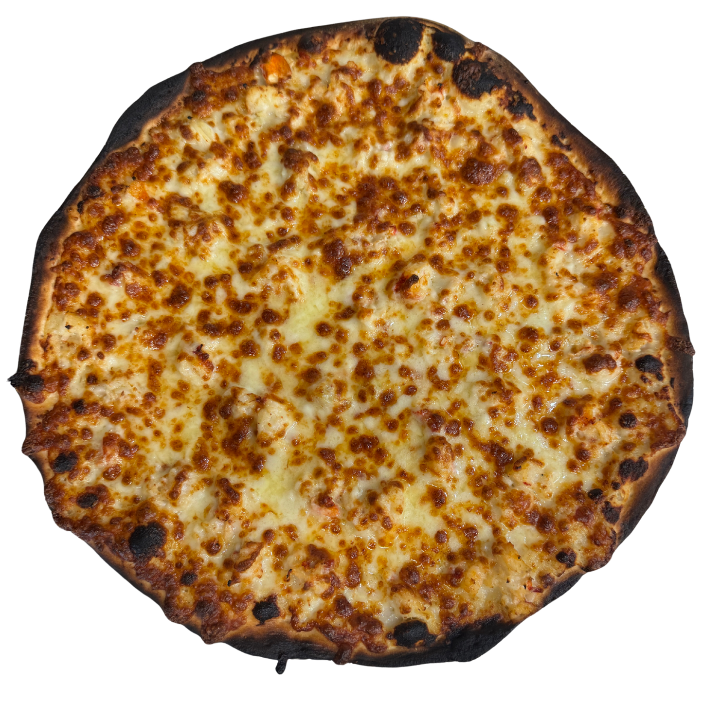 14" Maine Lobster Alfredo Apizza